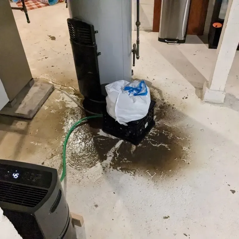 Sewage Backup Cleanup Service in Upson County, GA